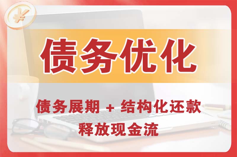 丰都债务优化