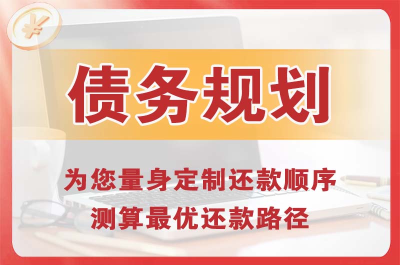 丰都债务规划